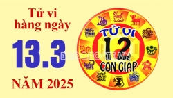 Tử vi hôm nay, xem tử vi 12 con giáp hôm nay ngày 13/3/2025: Tuổi Dậu công việc hoàn hảo